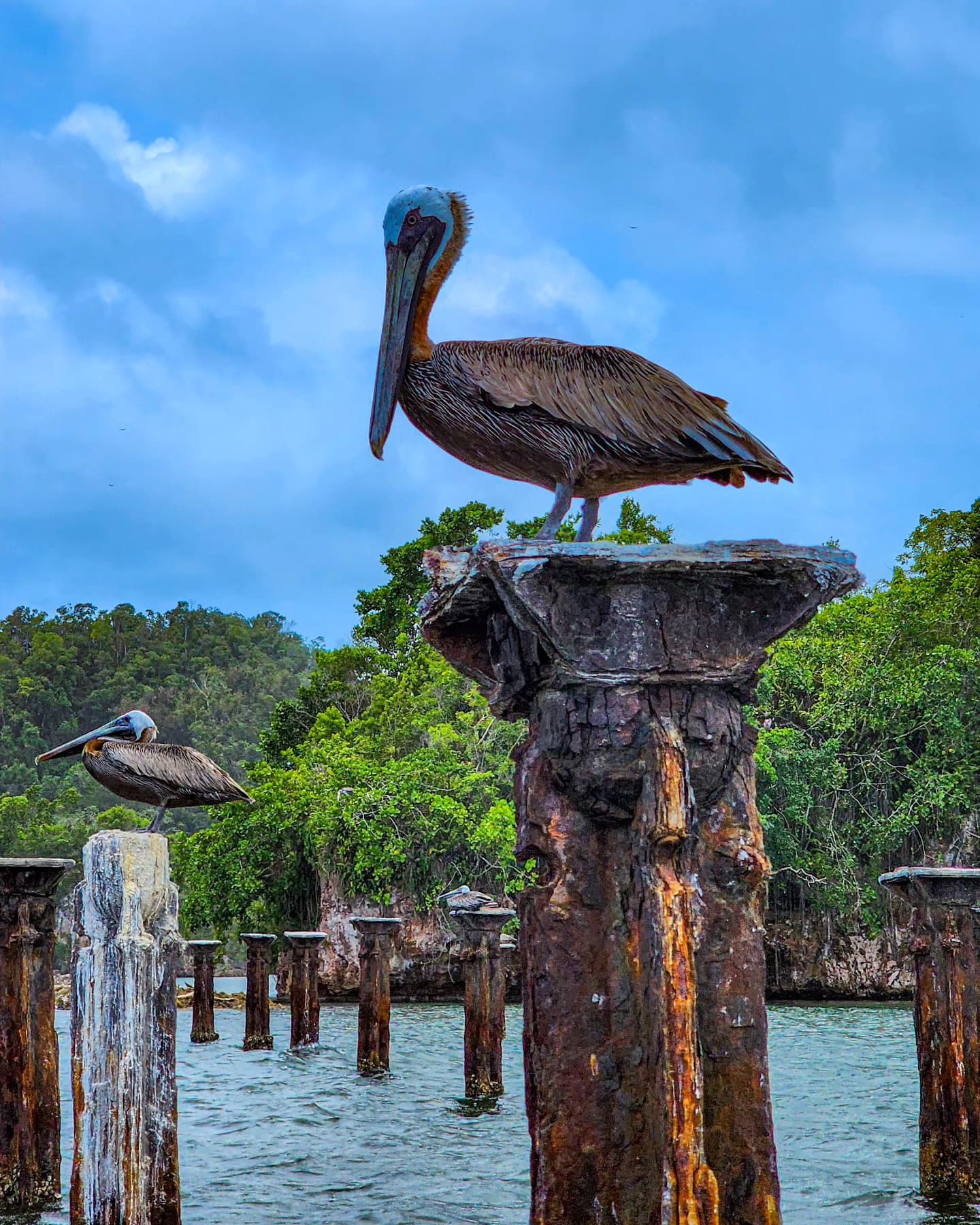 Samaná: Los Haitises National Park & Cayo Levantado Island — Guided tour and outdoor activity