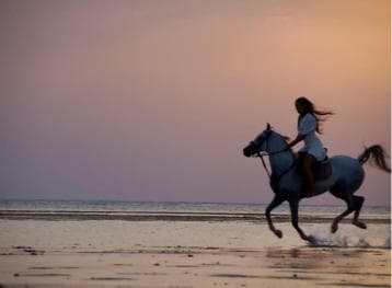 Makadi Bay: Reiten in Wüste und Meer mit Führer + Transfers — Guided tour and outdoor activity