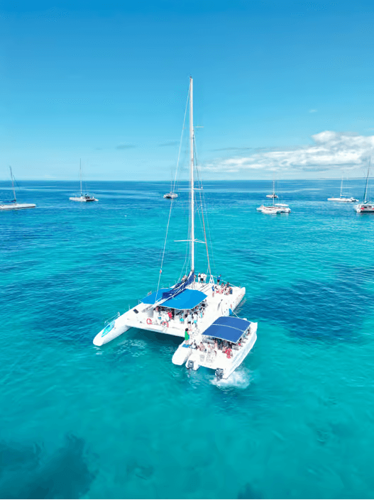 From Santo Domingo: Isla Saona Day Trip with Catamaran Ride — Guided tour and outdoor activity