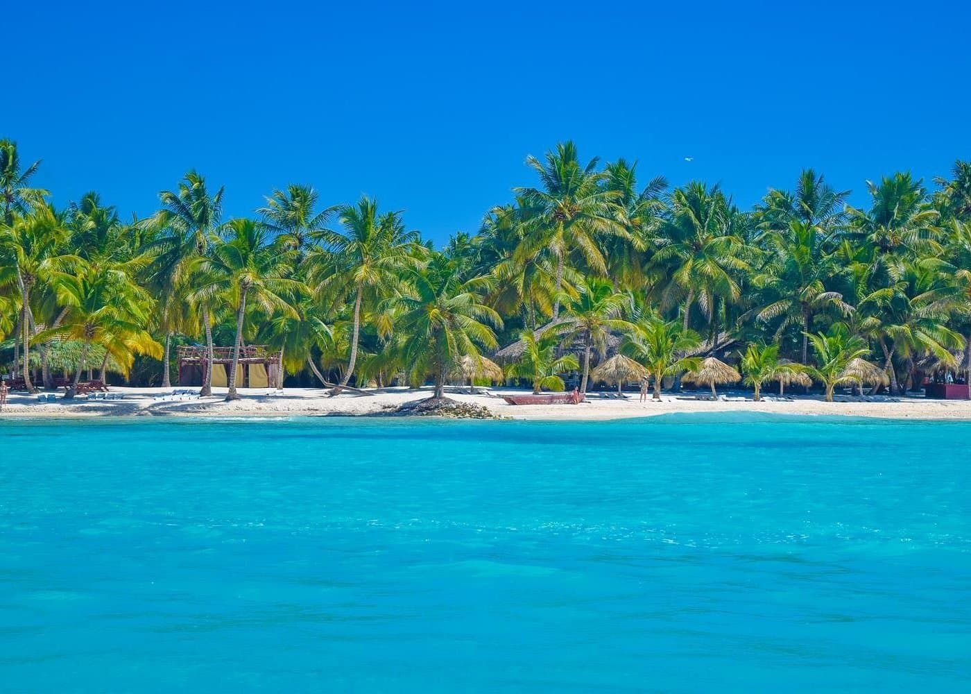 Saona Island Travel Insurance: What to Check Before You Book
