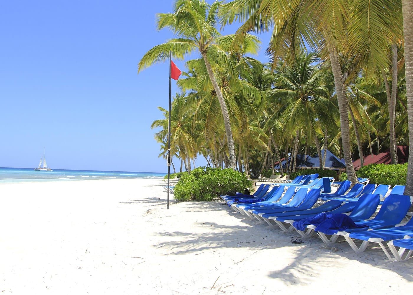 Saona Island Tour Itinerary: Plan Your Day Step by Step
