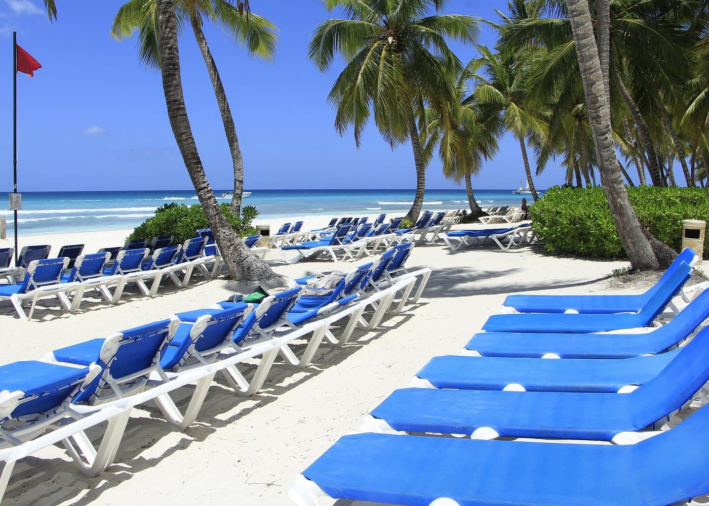 Saona Island Tour for First-Time Visitors: Full Guide - Boat Tour Samana Guide