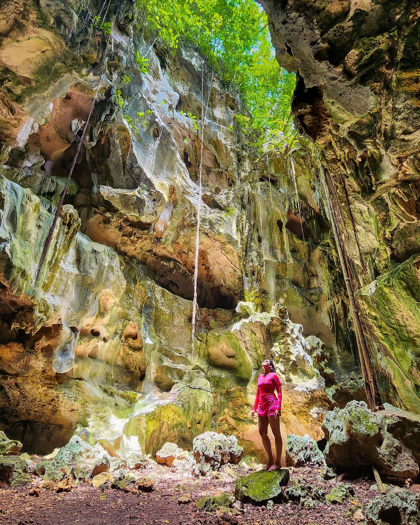 Samana: Národní park Los Haitises a prohlídka Cayo Levantado — Guided tour and outdoor activity