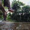 Salto La Jalda (Hiking and Swimming) is drinking water from a river.