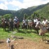 Un grup de oameni pe cai cu un câine în fundal, condus de Salto La Jalda (Drumeții și înot).