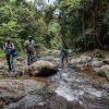 Eine Gruppe von Menschen nutzt den Salto La Jalda (Wandern und Schwimmen) und navigiert durch einen Bach im Dschungel.