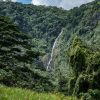 Salto La Jalda (Mendaki dan Berenang) mengalir dengan anggun di tengah hutan hijau yang semarak.