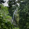 Wasserfall Salto La Jalda inmitten eines üppig grünen Dschungels.