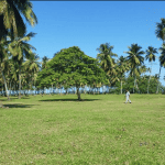 Samana Land For Sale