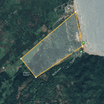 Samana Land For Sale