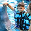 Punta Cana: Dolphin Discovery Swims and Encounters - Image 16