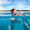 Punta Cana: Dolphin Discovery Swims and Encounters - Image 18