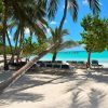 Punta Cana: Catamaran to Saona Island with Lunch & Open Bar - Image 7