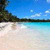 Punta Cana: Catamaran to Saona Island with Lunch & Open Bar - Image 8